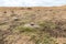 Sacrificial stone in the megalithic complex of the early Bronze AgeÂ Wheels of Spirits,Rujum Al-Hiri, Gilgal Rephaeem on the Gola